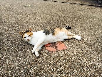 《战锤40K：爆矢枪》5月23日发售 登陆全平台